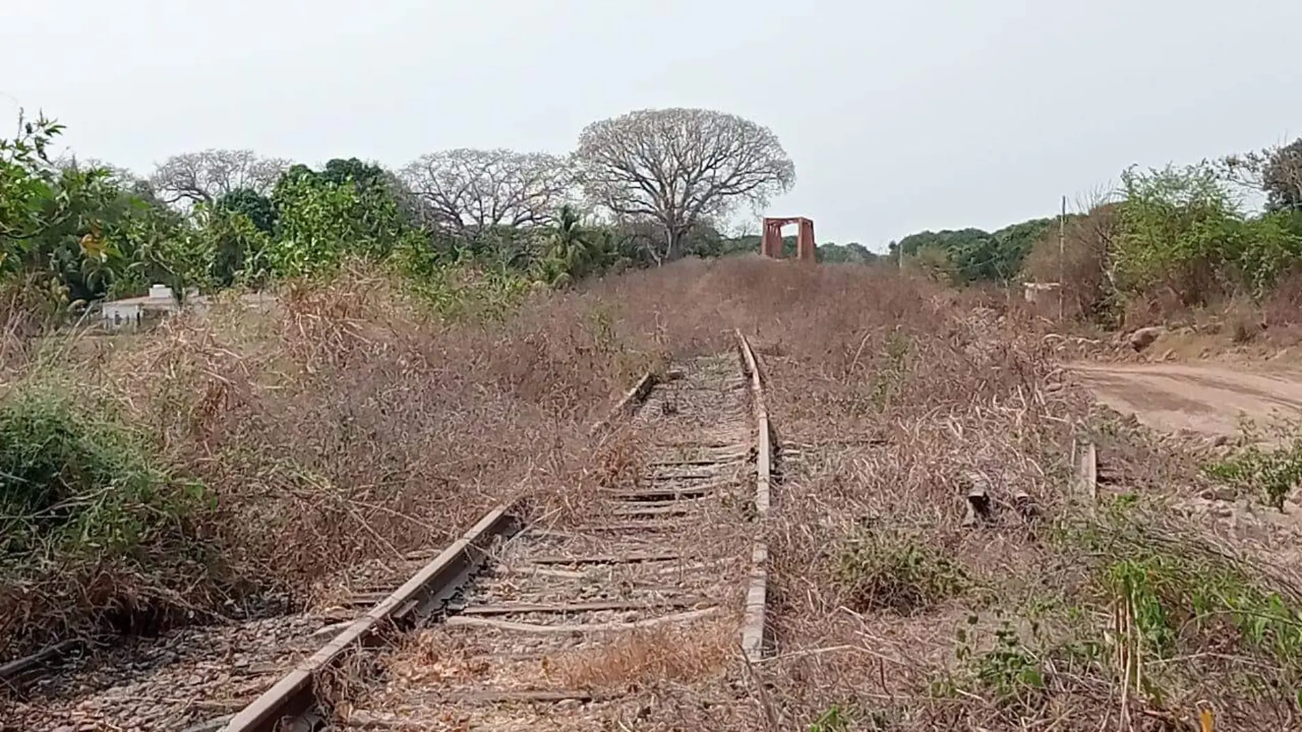 vías del tren